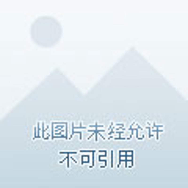 探究重庆商贸公司的商业动态与未来趋势